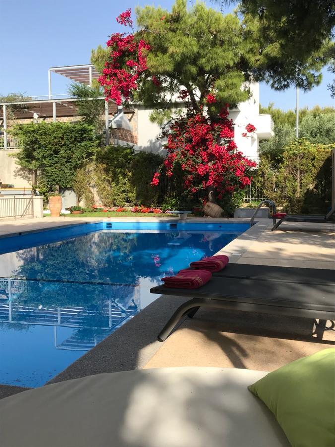 Pórto Ráfti Villa Serenity מראה חיצוני תמונה